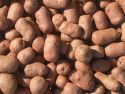Что представляет собой керамзит