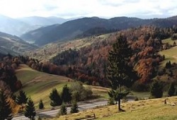 Земельные участки в Карпатах