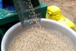 Выгодная покупка качественного гранулированного комбикорма